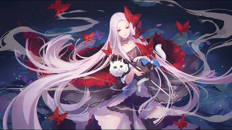 绝美二次元猫娘蝴蝶蓝调壁纸