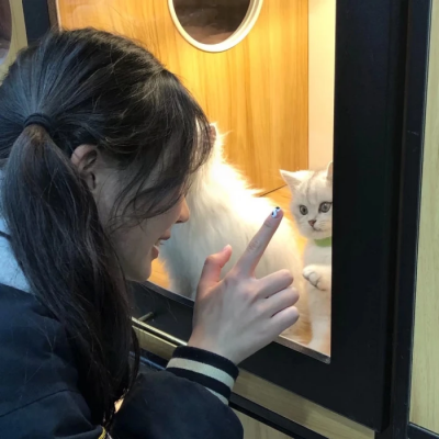 8月超适合用的清新干净女生头像，一共19张