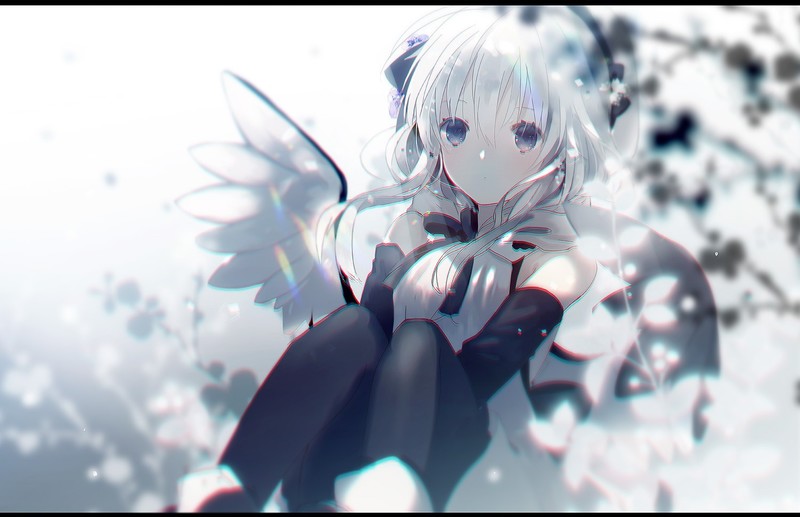 超绝二次元少女数位插画壁纸合集