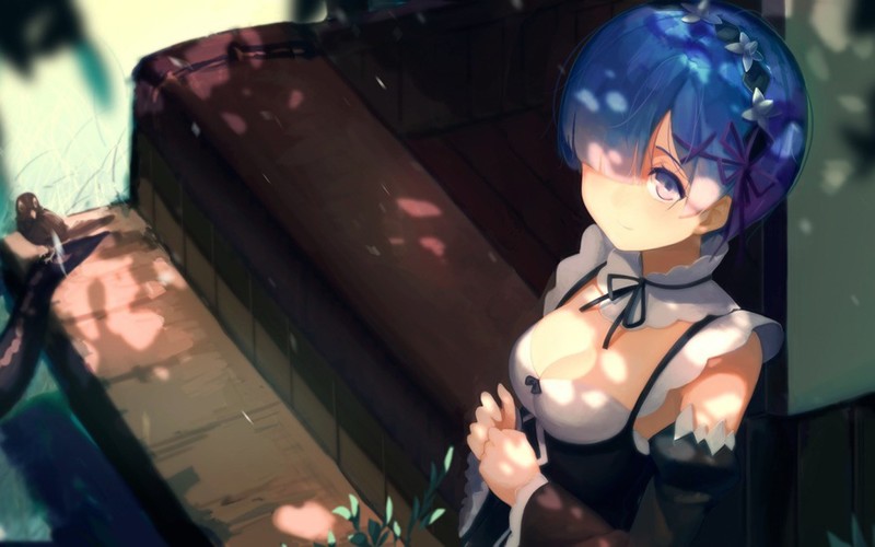 《从零开始的异世界生活》同人壁纸合集 蕾姆等角色高清美图