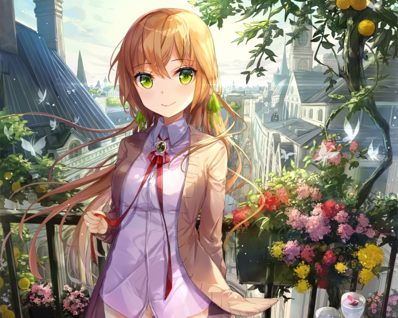 绝美二次元壁纸合集 长发少女与花蝶