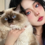 热门高清女生头像合集 共11张