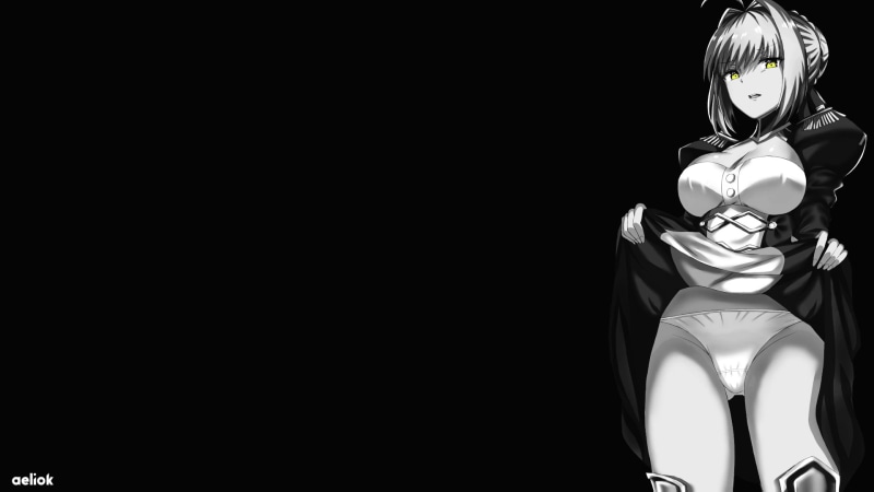 《Fate系列尼禄克劳狄乌斯涩情极简风1080P壁纸合集》