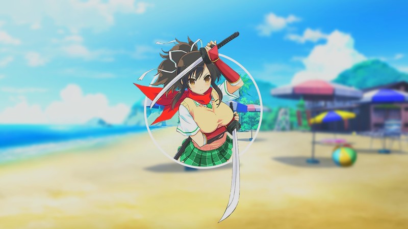 闪乱神乐、银魂动漫少女壁纸合集