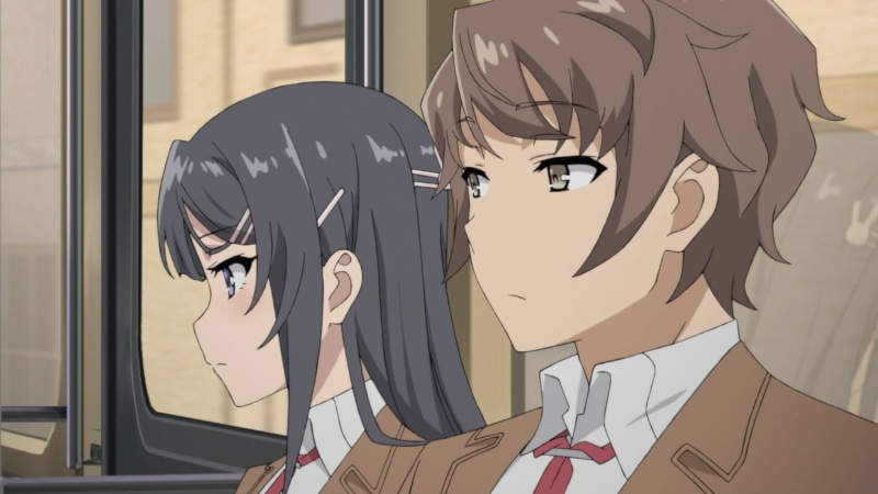 《青春猪头少年不会梦到兔女郎学姐 高清壁纸合集》