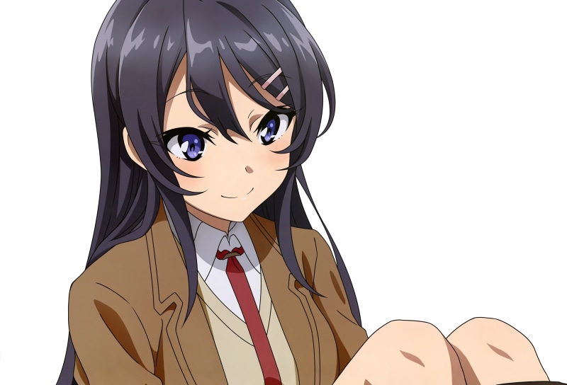 青春猪头少年不会梦到兔女郎学姐 樱岛麻衣 高清动漫壁纸