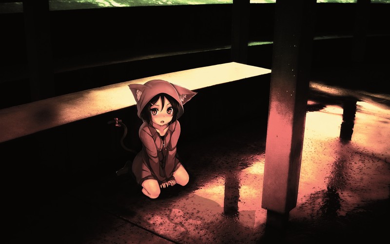 猫耳娘动漫壁纸合集 高清修图作品