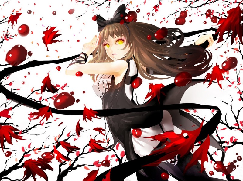 RWBY粉丝同人：猫耳少女布蕾克高清壁纸合集