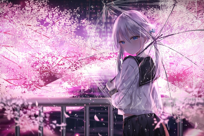 白发少女樱花夜哭 2D手绘壁纸太戳人了