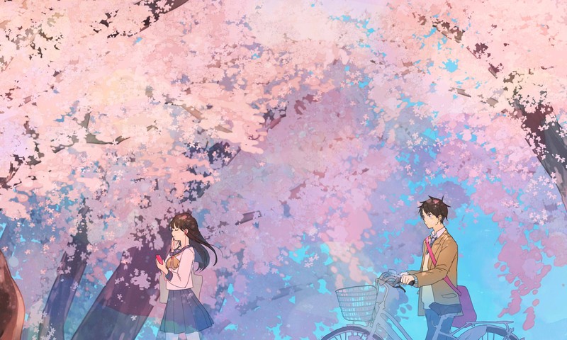 春日樱花动漫壁纸：水手服少女与单车的心动瞬间