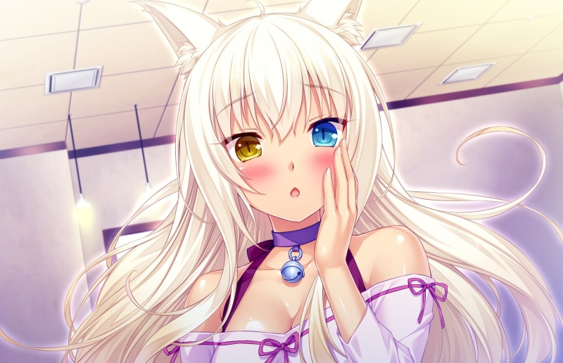 《巧克力与香子兰》动漫猫娘壁纸合集 高清1080P异色瞳椰子女主角图