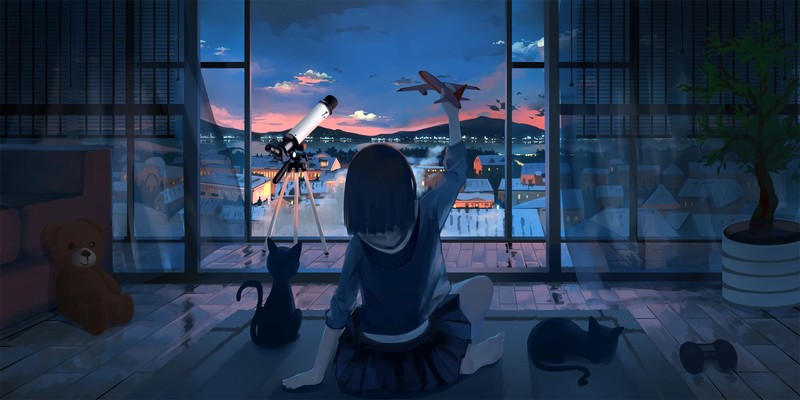 深夜夜空下的动漫少女与猫咪飞机壁纸