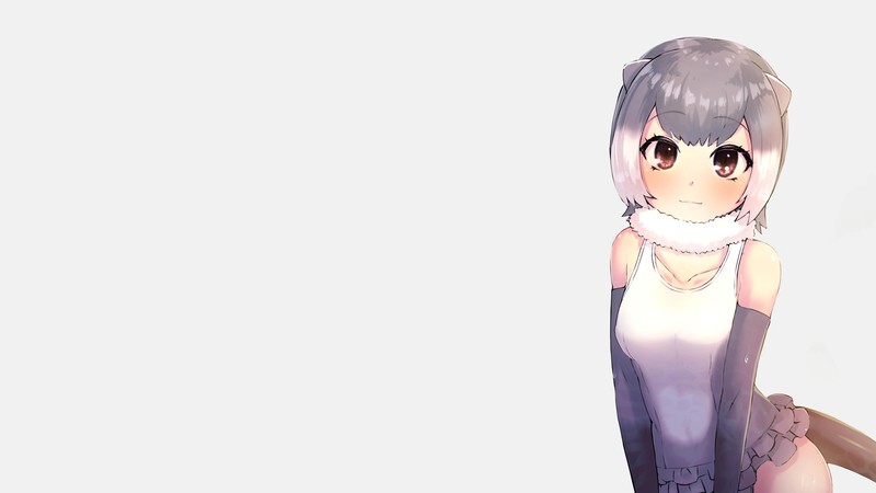 《兽娘动物园》动漫壁纸分享 兽娘可爱萌化你的心