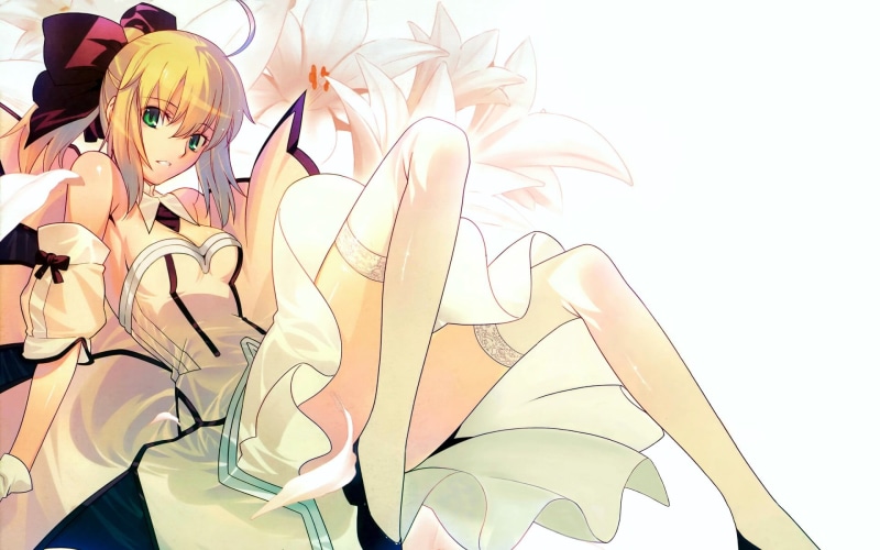 Fate系列1080P高清壁纸合集 女生、阿尔托莉雅、Fate系列、Fate/stay night、Type-Moon、动漫、植物、花朵、创意、手作、特写、高清壁纸