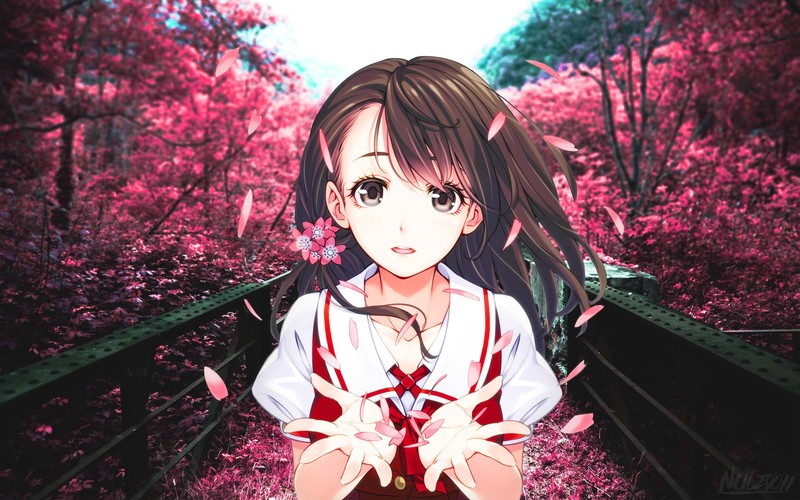 樱花少女高清壁纸合集