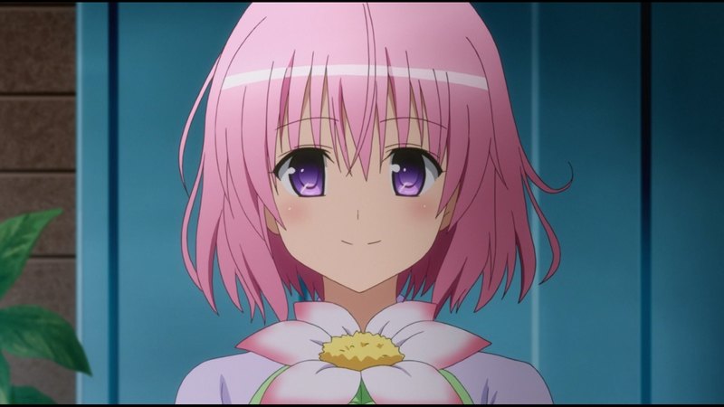 二次元甜妹花系壁纸合集