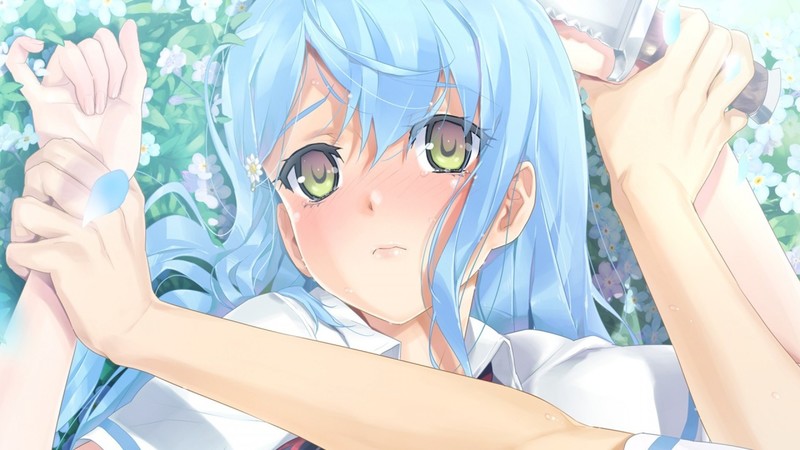 蓝发动漫少女搭配蓝花 高清壁纸