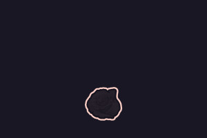 这款极简ASCII玫瑰壁纸太绝了！1920×1080分辨率刚刚好