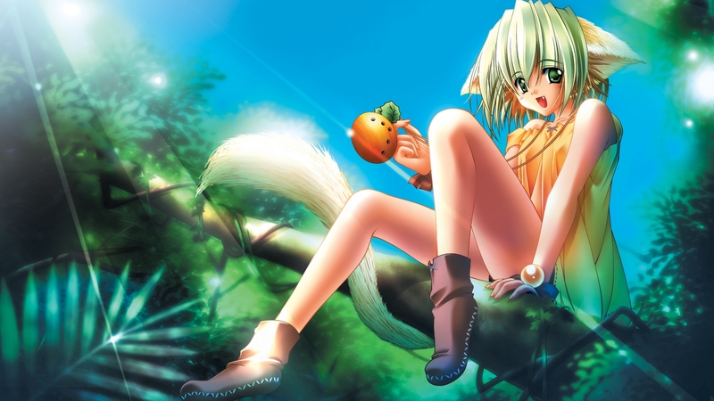 软萌少女与猫的动漫树间壁纸合集