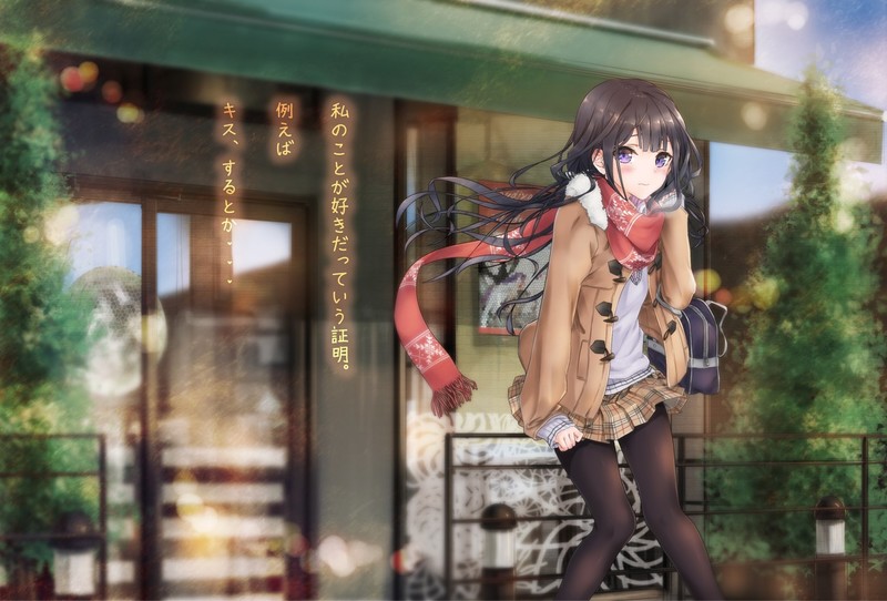 Brunette 动漫少女迷你裙壁纸合集