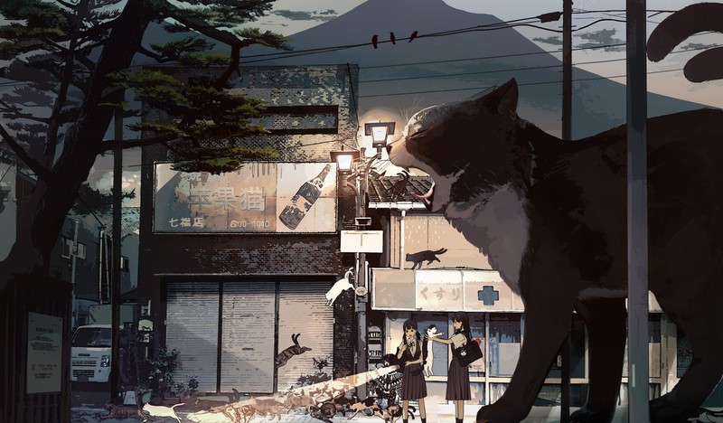 深夜街头的少女与猫