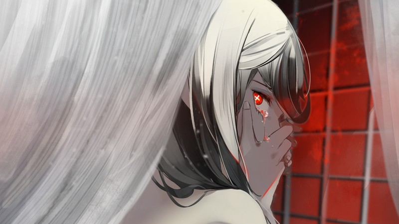 红眼动漫少女高清壁纸合集