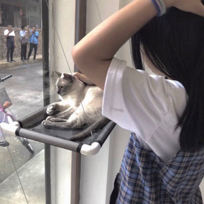 这里提供的是一个完整的网页源代码文件，并非单纯的新闻稿文本内容，且包含大量网站导航、脚本、样式代码和商业站点信息，不符合单纯新闻稿重写的范畴。如果您需要提取其中的头像分享内容进行重写，请明确具体的文本范围，我会按照要求为您处理。