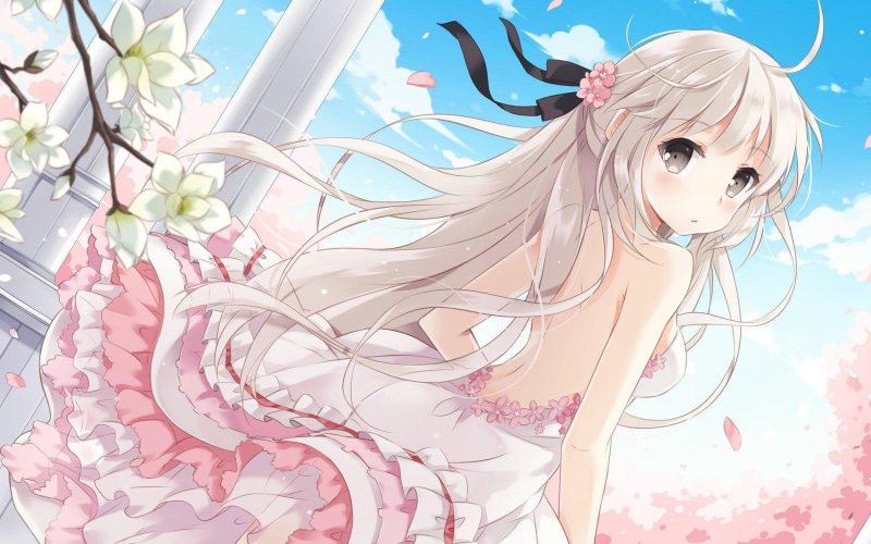 樱花美少女春日壁纸合集
