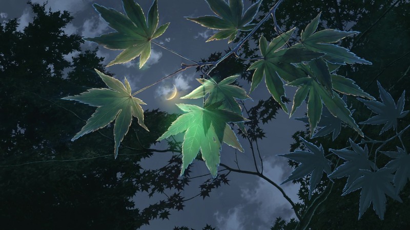 言叶之庭 新海诚动画高清壁纸