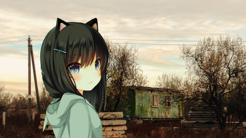 绝美二次元壁纸合集！末世猫娘、金发战士还有娇羞少女都在这