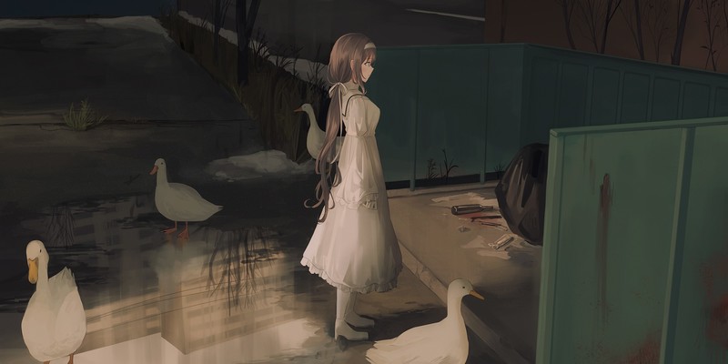 动漫少女与白鸭壁纸合集