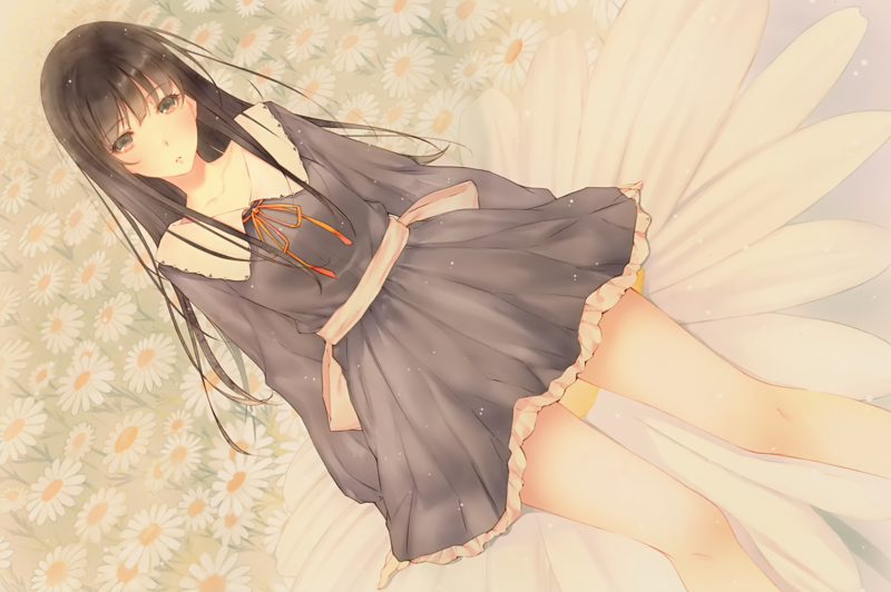 绝美动漫少女壁纸合集 黑发少女与花 金发蓝眼少女 银发戴帽少女