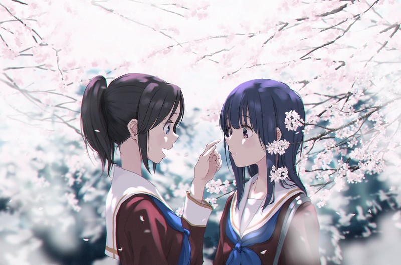 春日校园里的动漫少女壁纸合集