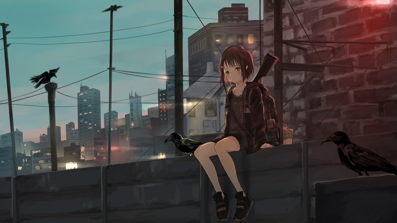 美少女动漫壁纸合集 城市猫咪乌鸦枪械控狂喜