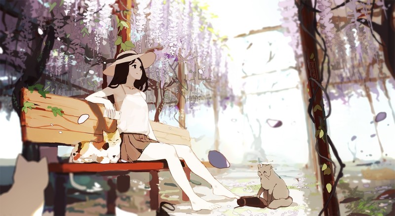 二次元少女与猫咪的花园插画壁纸合集