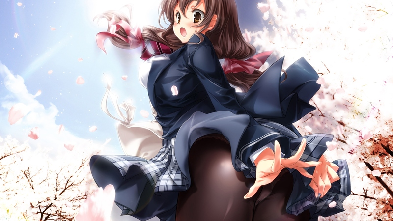 春日樱花少女动漫壁纸