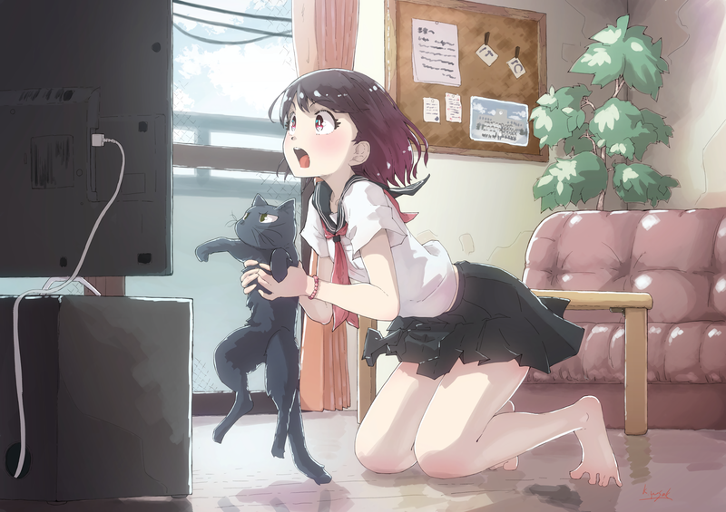 手绘动漫少女与萌猫 高清壁纸合集