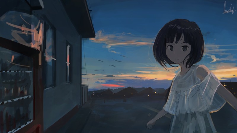 动漫少女壁纸合集 氛围感拉满的黄昏二次元女孩