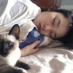 女生带宠物的头像合集来啦，一共6张