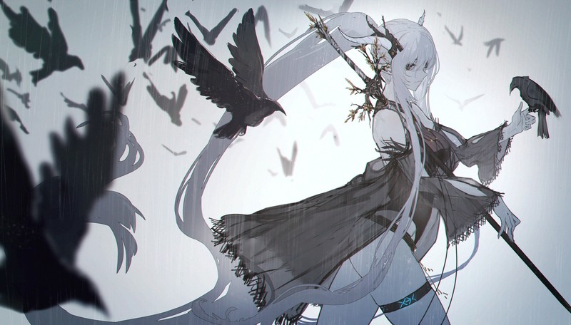 多款长发二次元少女飞鸟壁纸合集
