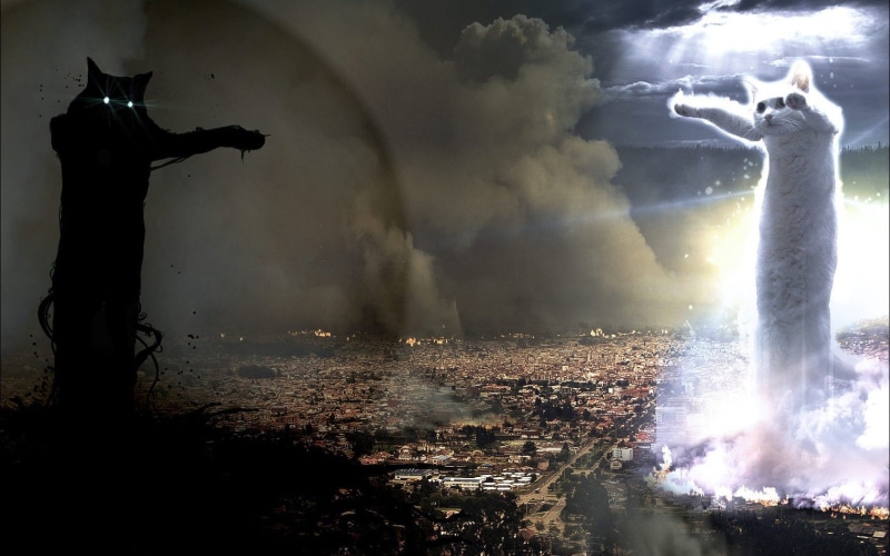 正邪对战壁纸合集