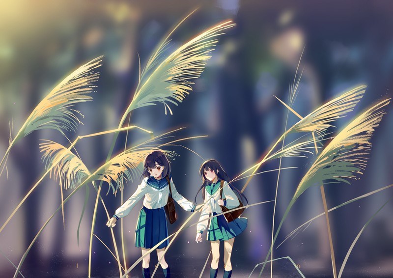 这组壁纸全是动漫原创少女角色