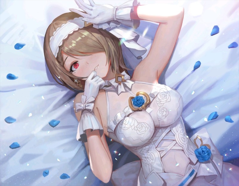 八重樱绝美二次元壁纸合集