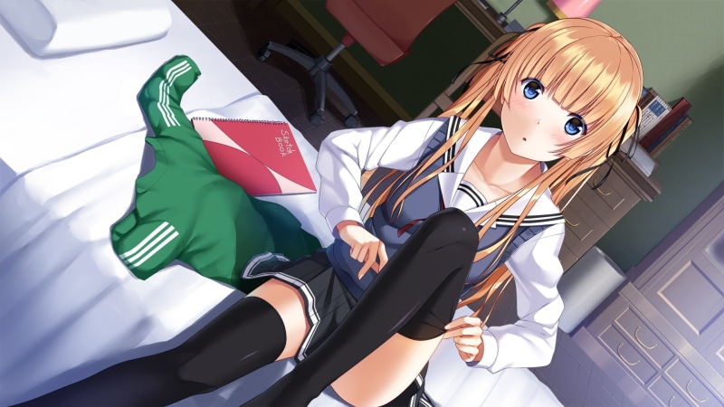 《路人女主的养成方法》高清壁纸 棕色调过膝袜校服少女合集
