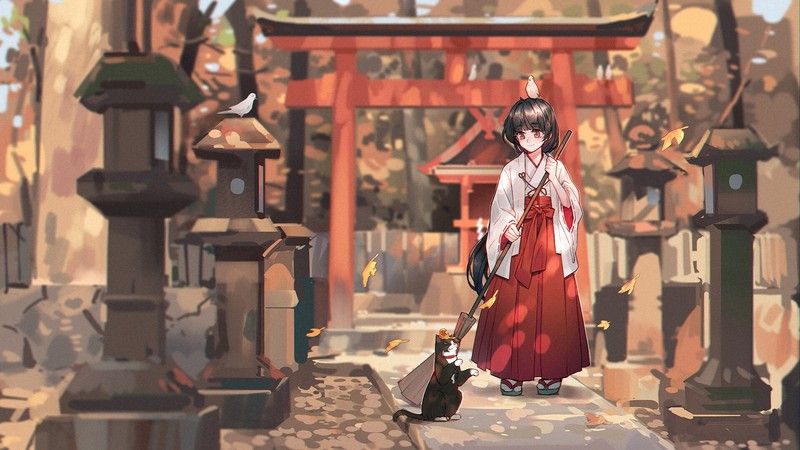 超绝二次元少女与猫咪壁纸合集