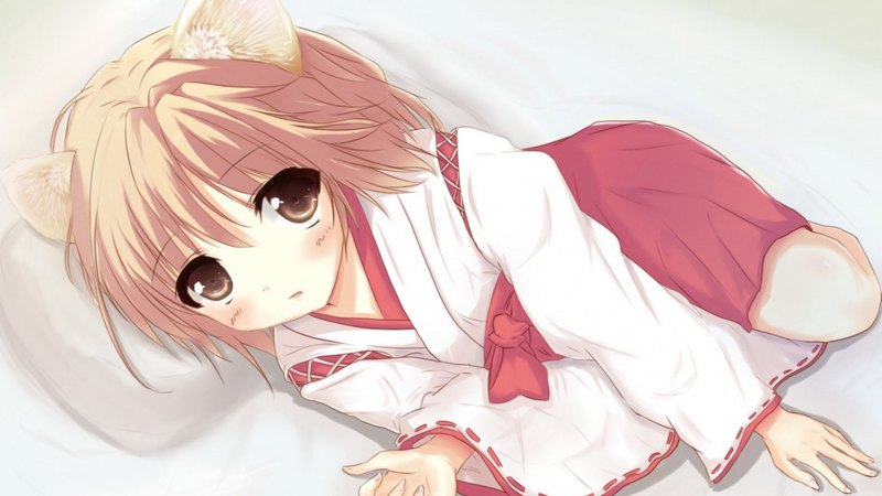红发棕发猫耳少女壁纸合集