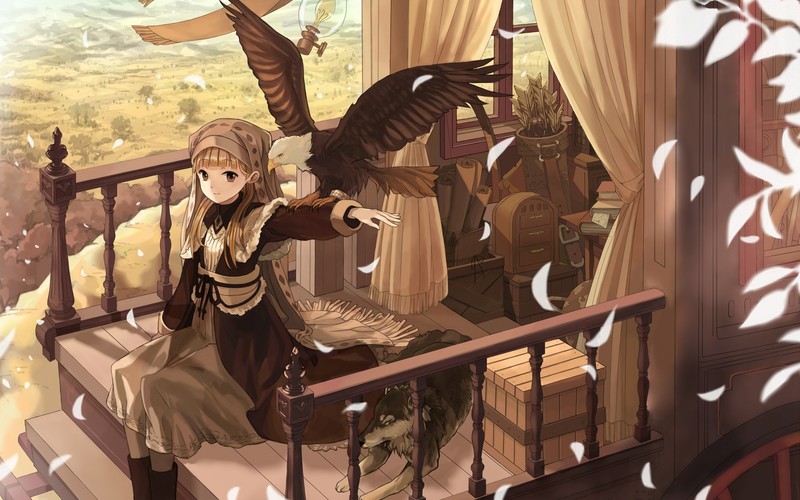 二次元少女与白头鹰高清壁纸