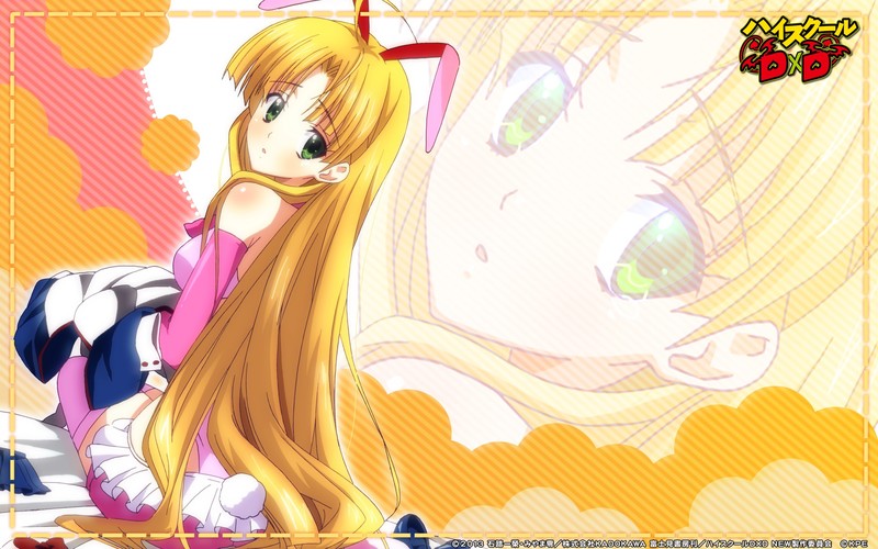 《恶魔高校D×D 四位少女壁纸合集》