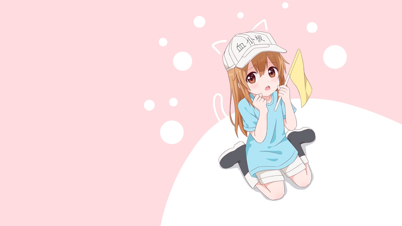 工作细胞猫耳少女壁纸合集