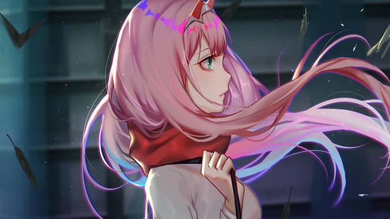 国家队全员美少女壁纸合集